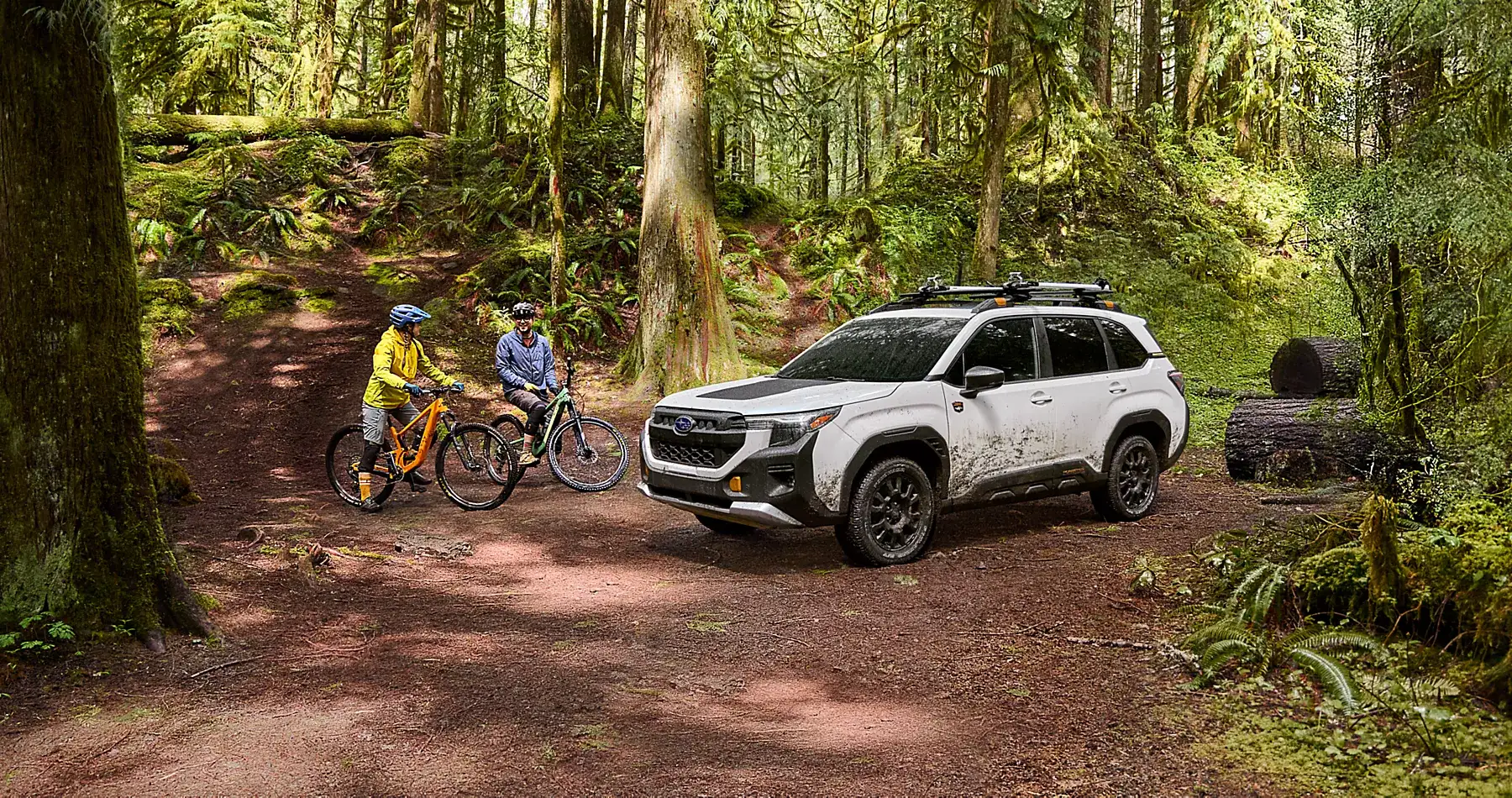 2026 Subaru Forester Wilderness with mountain bikes