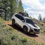 Subaru-Forester-Wilderness_a
