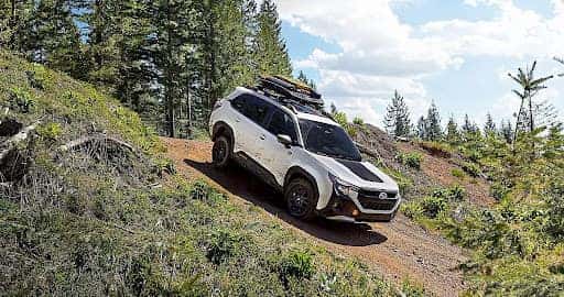 Subaru-Forester-Wilderness_a