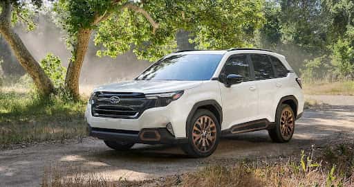Subaru for a spring trip