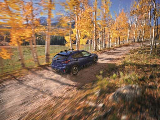 Subaru models for a coastal road trip