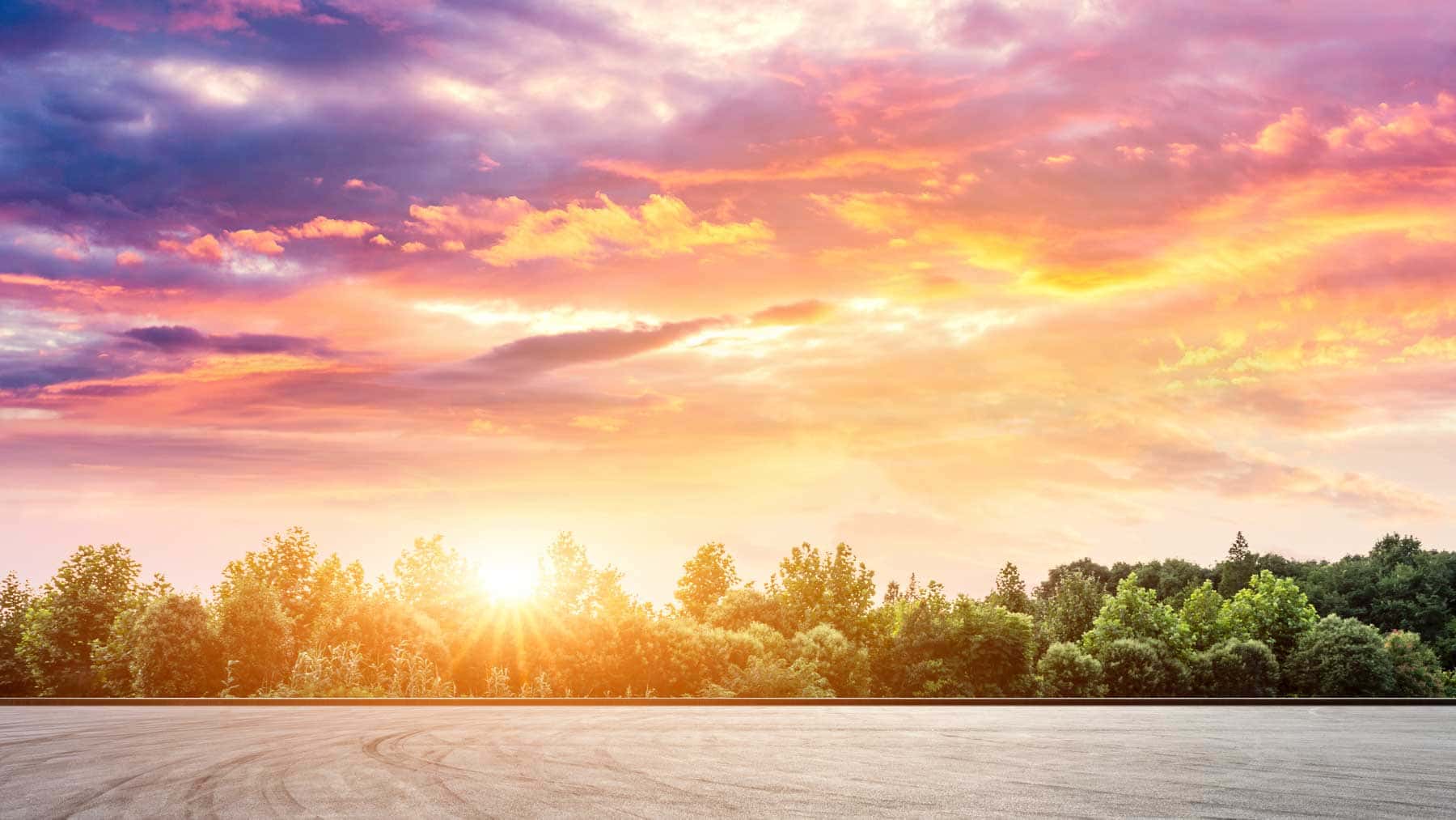 Holiday Summer Road Trip Sale