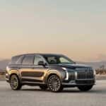 Parked Hyundai Palisade