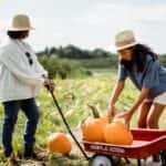 Woman with daughter in field with pumpkins