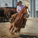 Woman in Pink Dress Shirt Riding on Brown Horse