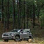 SUV in Forested Landscape, Flagstaff AZ