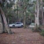 Campsite in a forest with a green tent and parked SUV surrounded by trees.
