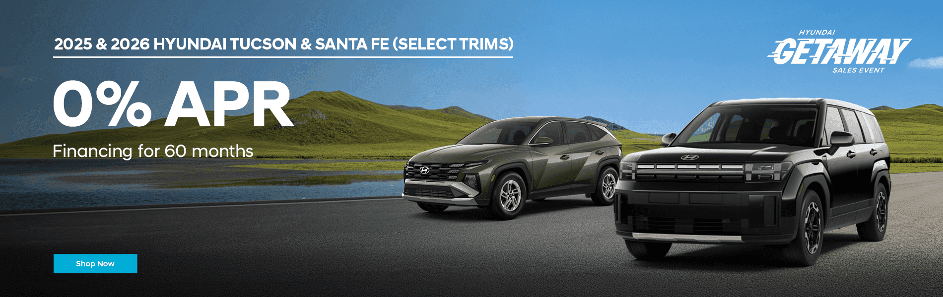 2025 & 2026 HYUNDAI TUCSON & SANTA FE (SELECT TRIMS)