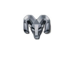 RAM