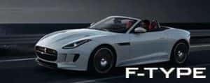 ftype