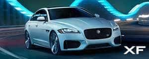 xf