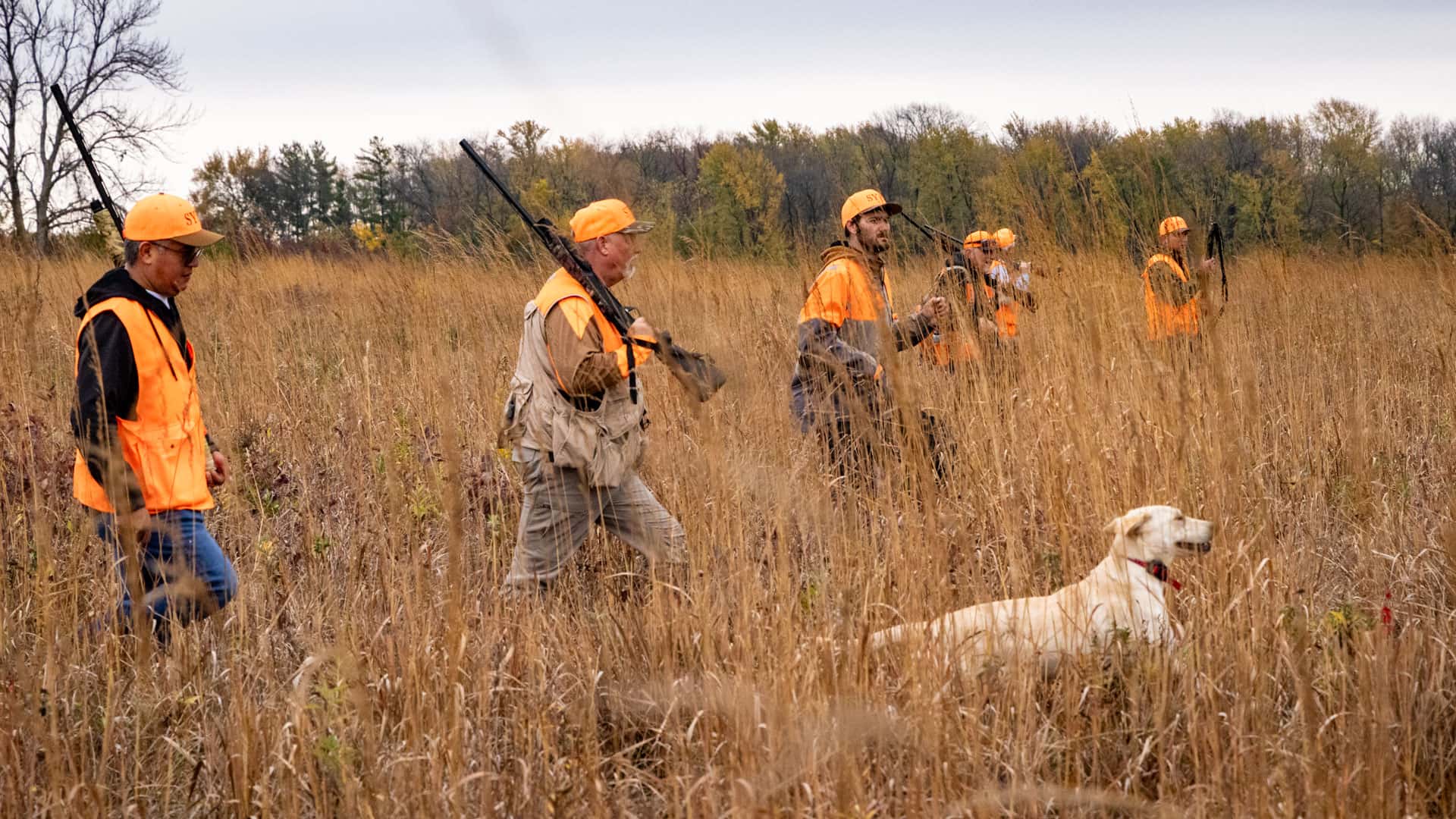 Hunters walking in a line through the field at the 2026 Sheriff's Youth Project Hunt