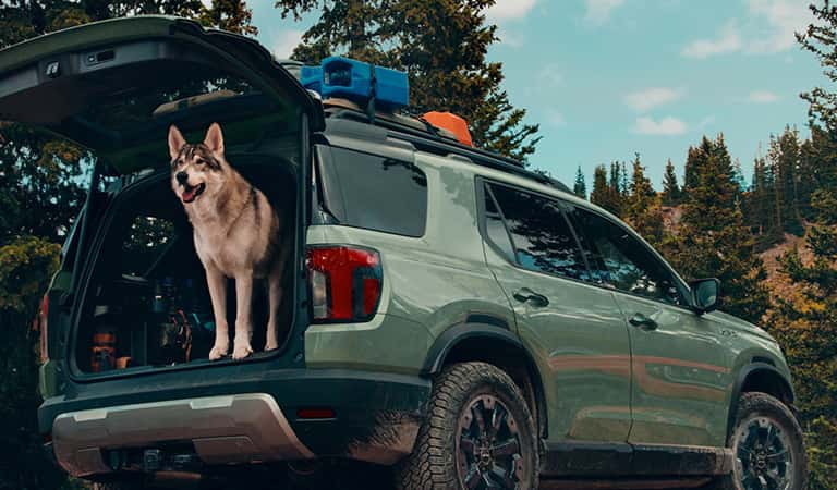 New 2026 Honda Passport San Juan Capistrano CA