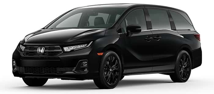 Sport-L