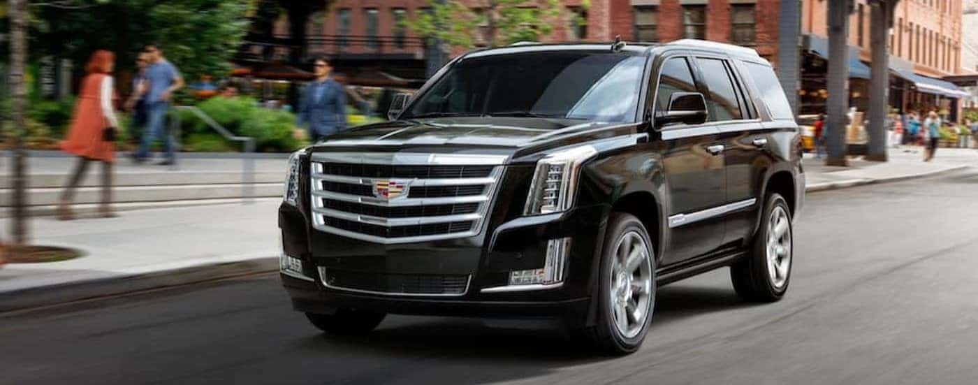 A black 2024 Cadillac Escalade is shown driving.