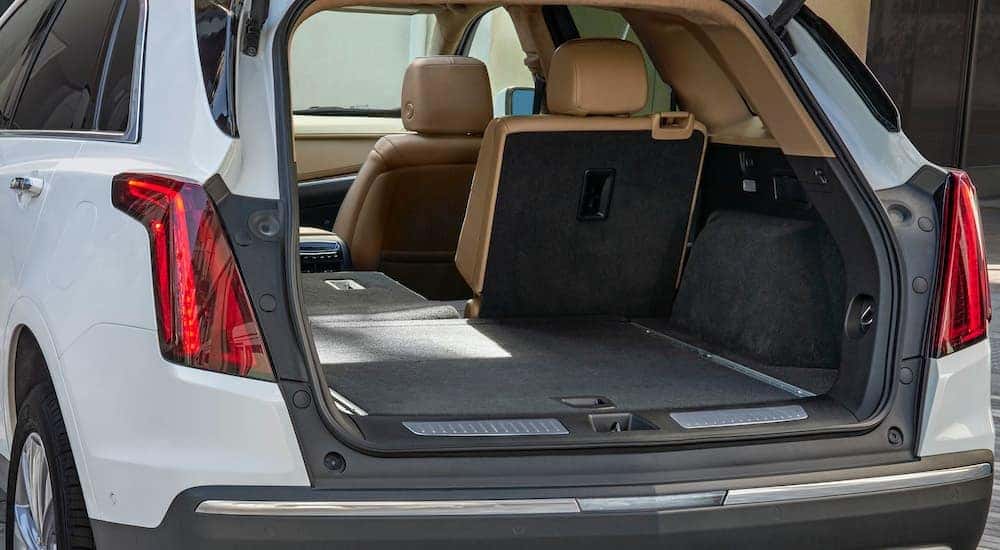The rear hatch opening of a white 2023 Cadillac XT5 is shown from the rear.