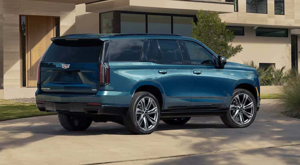 Rear view of a blue 2025 Cadillac Escalade parked on a driveway.