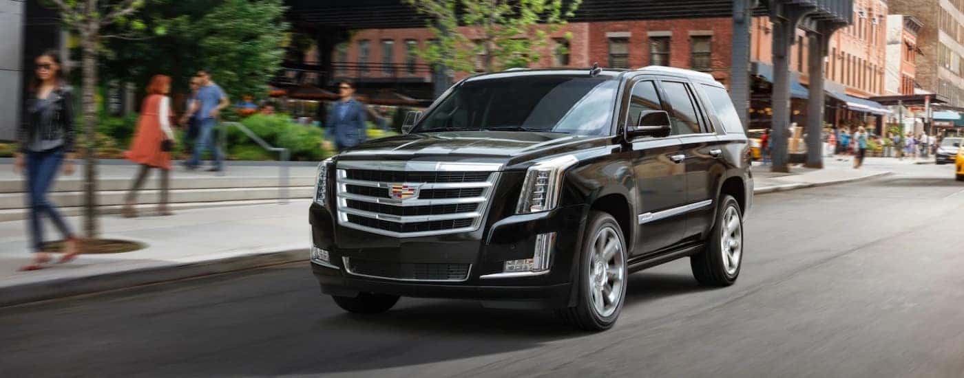 A black 2020 Cadillac Escalade is shown driving on a city street.