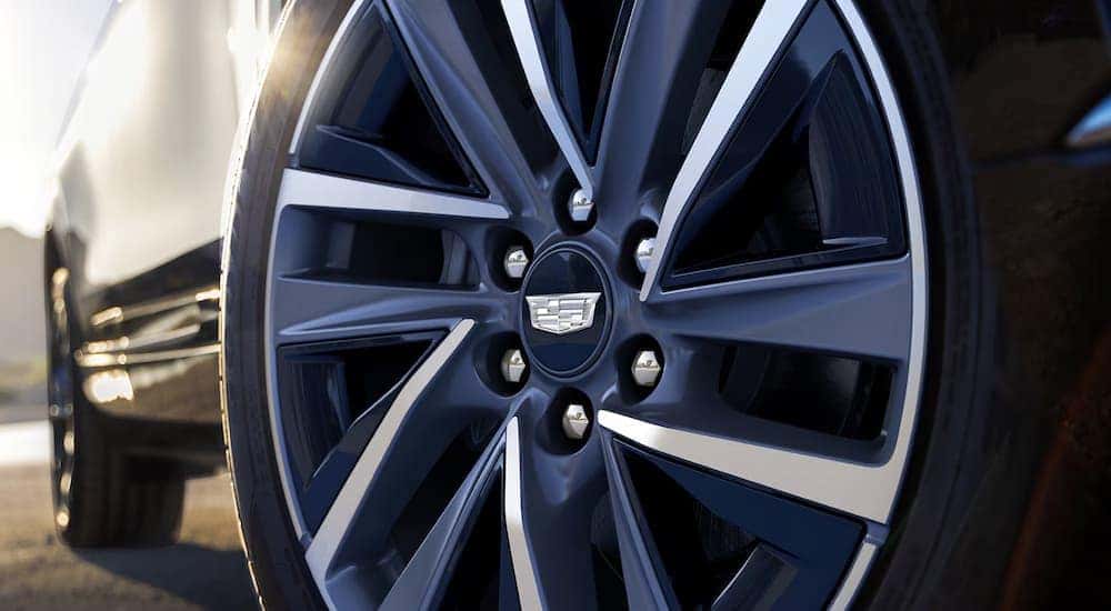 Silver and black rim on a blue 2026 Cadillac VISTIQ