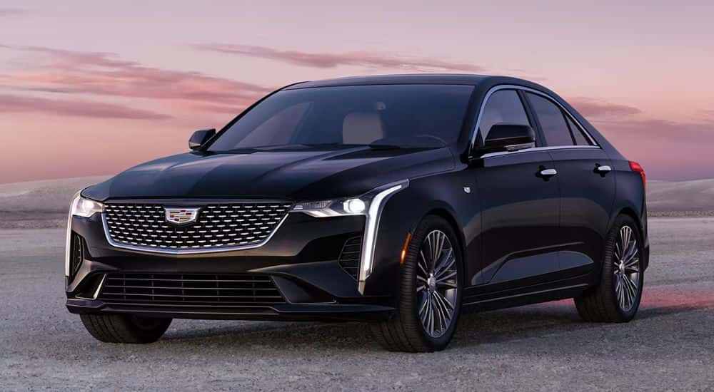 Black 2026 Cadillac CT4 parked at sunset