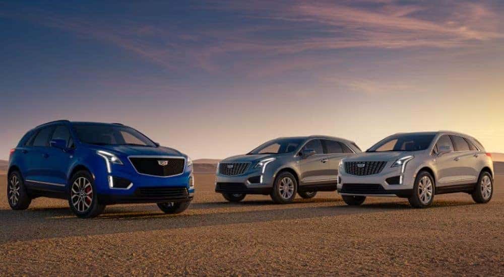 A trio of 2026 Cadillac XT5 SUVs, blue, dark gray and light gray, parked during sunset.