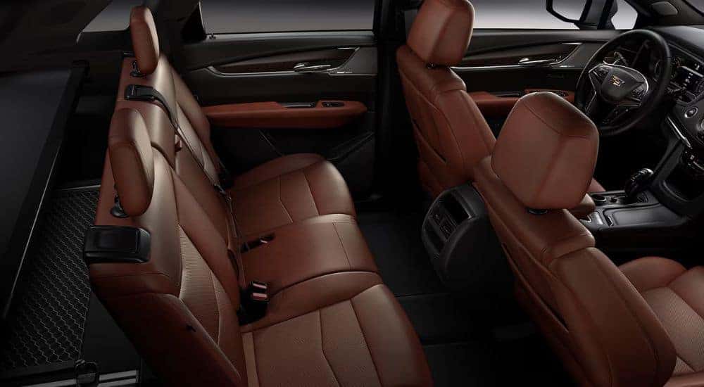 Interior of a 2026 Cadillac XT5 brown front and rear seats.