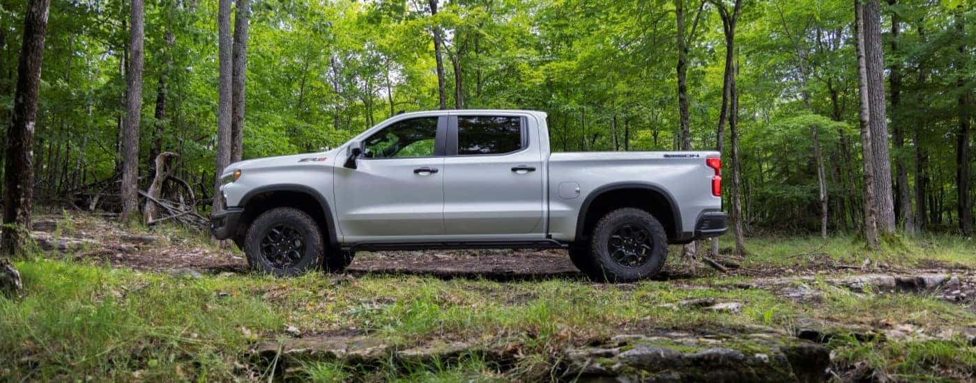 A silver 2023 Chevy Silverado 1500 ZR2 Bison is shown from the side parked in the woods.