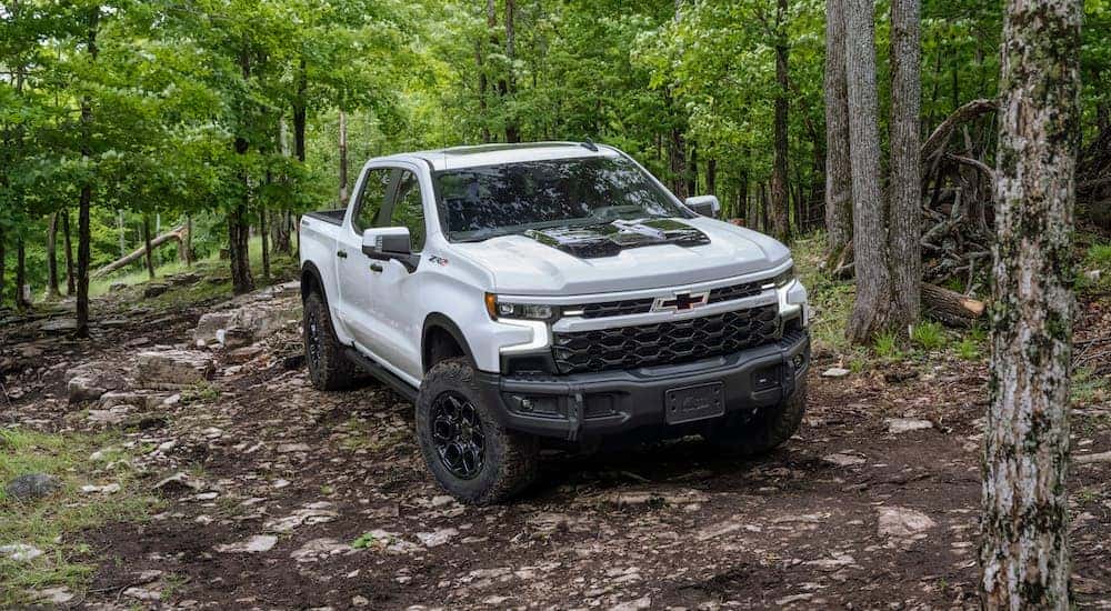 A white 2024 Chevy Silverado 1500 ZR2 Bison is shown from the front at an angle.