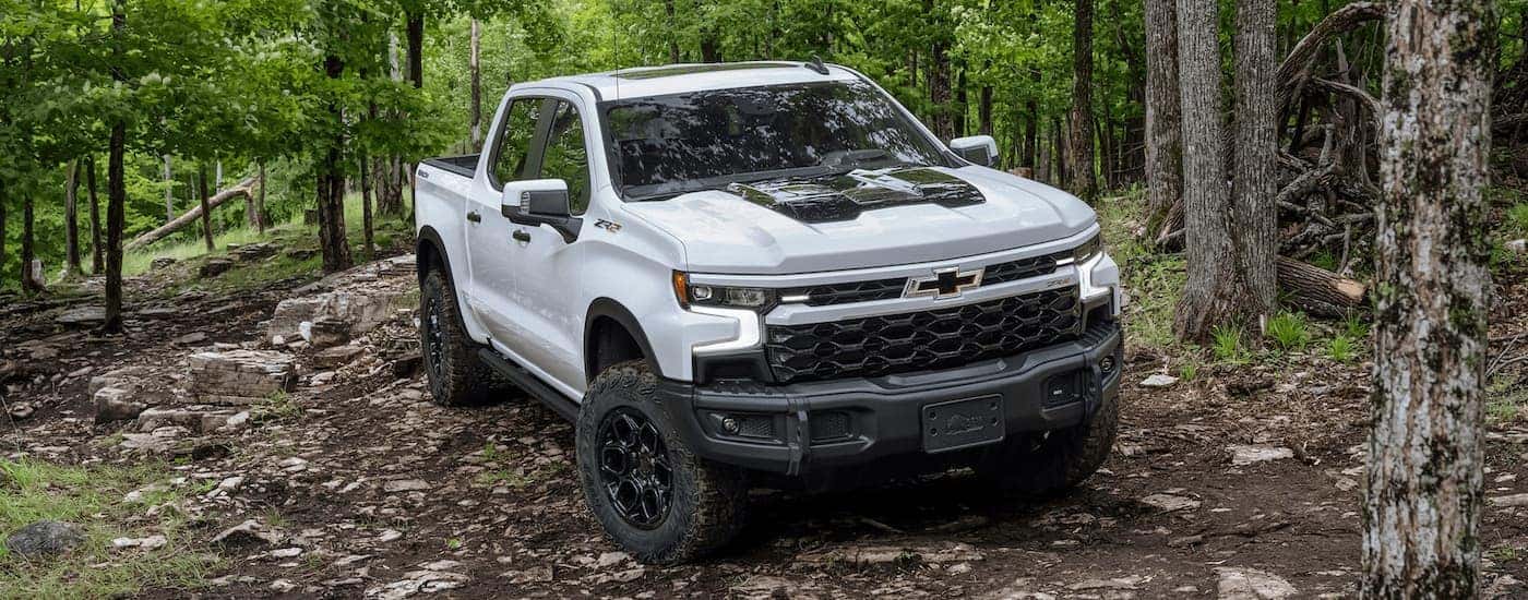 A white 2024 Chevy Silverado 1500 ZR2 is shown off-roading on a forest trail.