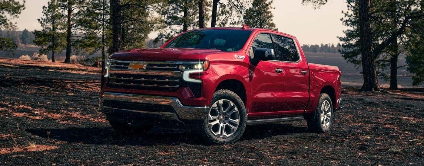 A red 2024 Chevy Silverado 1500 Z71 parked off-road in a forest.