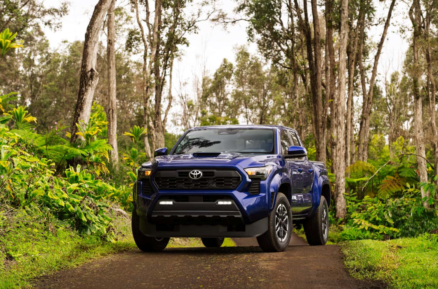 2025_Toyota_Tacoma_TRD_Sport_
