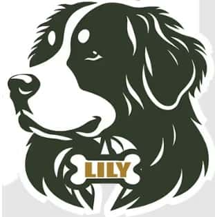 Lily