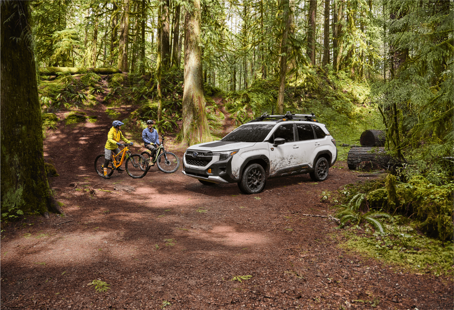 Forester Wilderness with bikes near Battery Point Trail in Haines