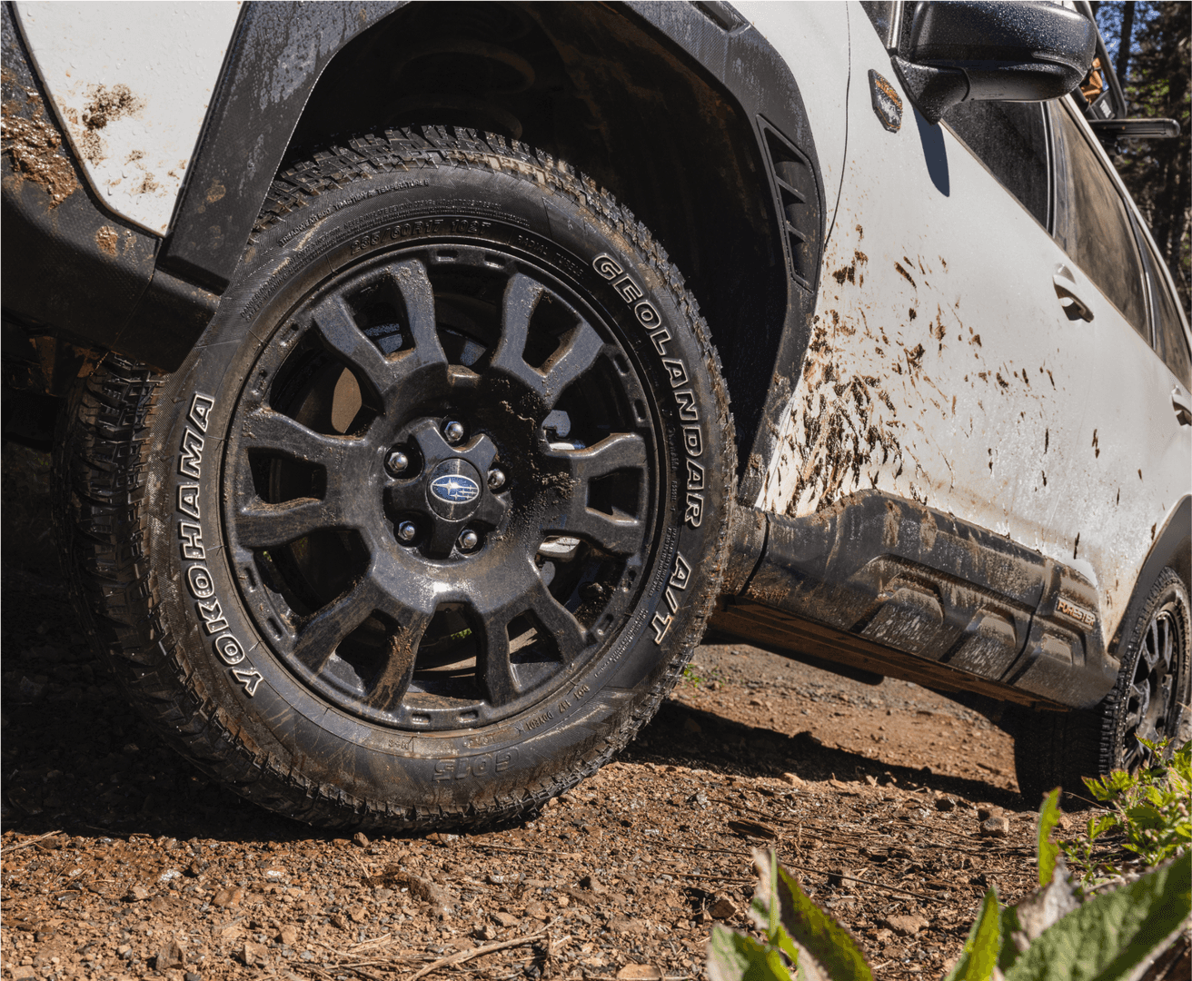 Forester Wilderness all-terrain tires for Mud Bay Road conditions