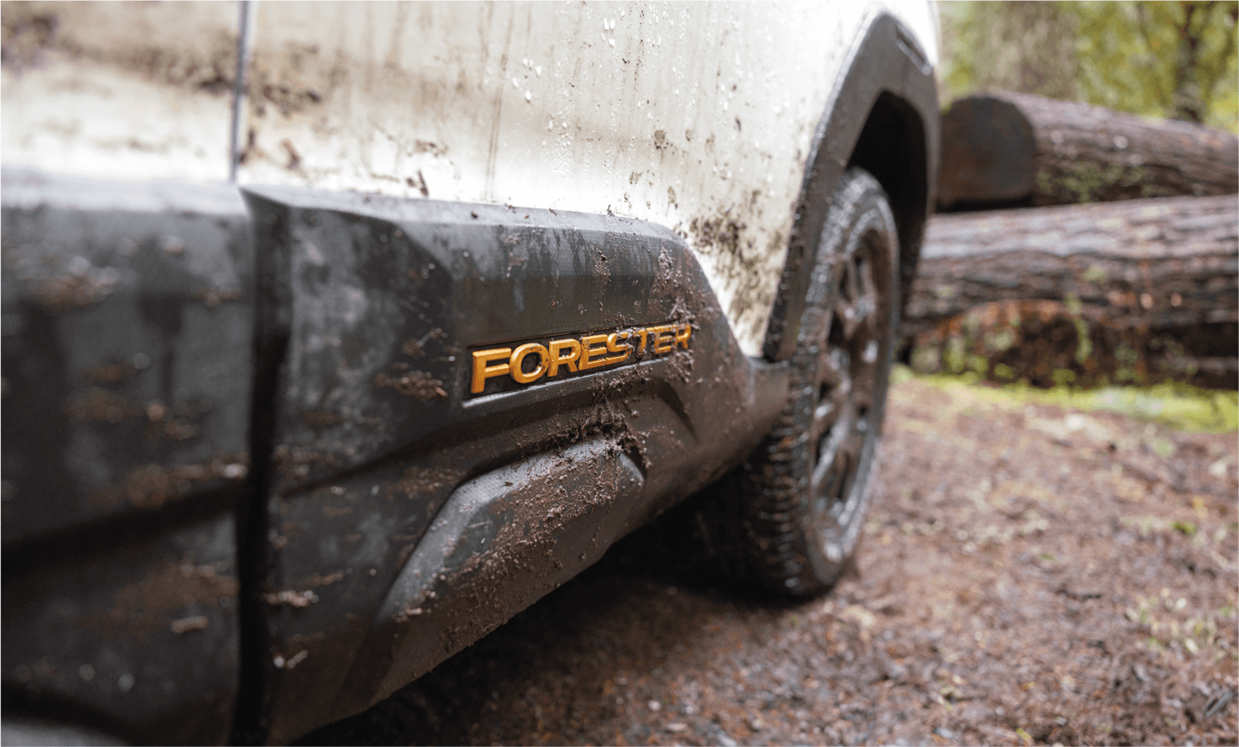 Wilderness badge and rugged styling