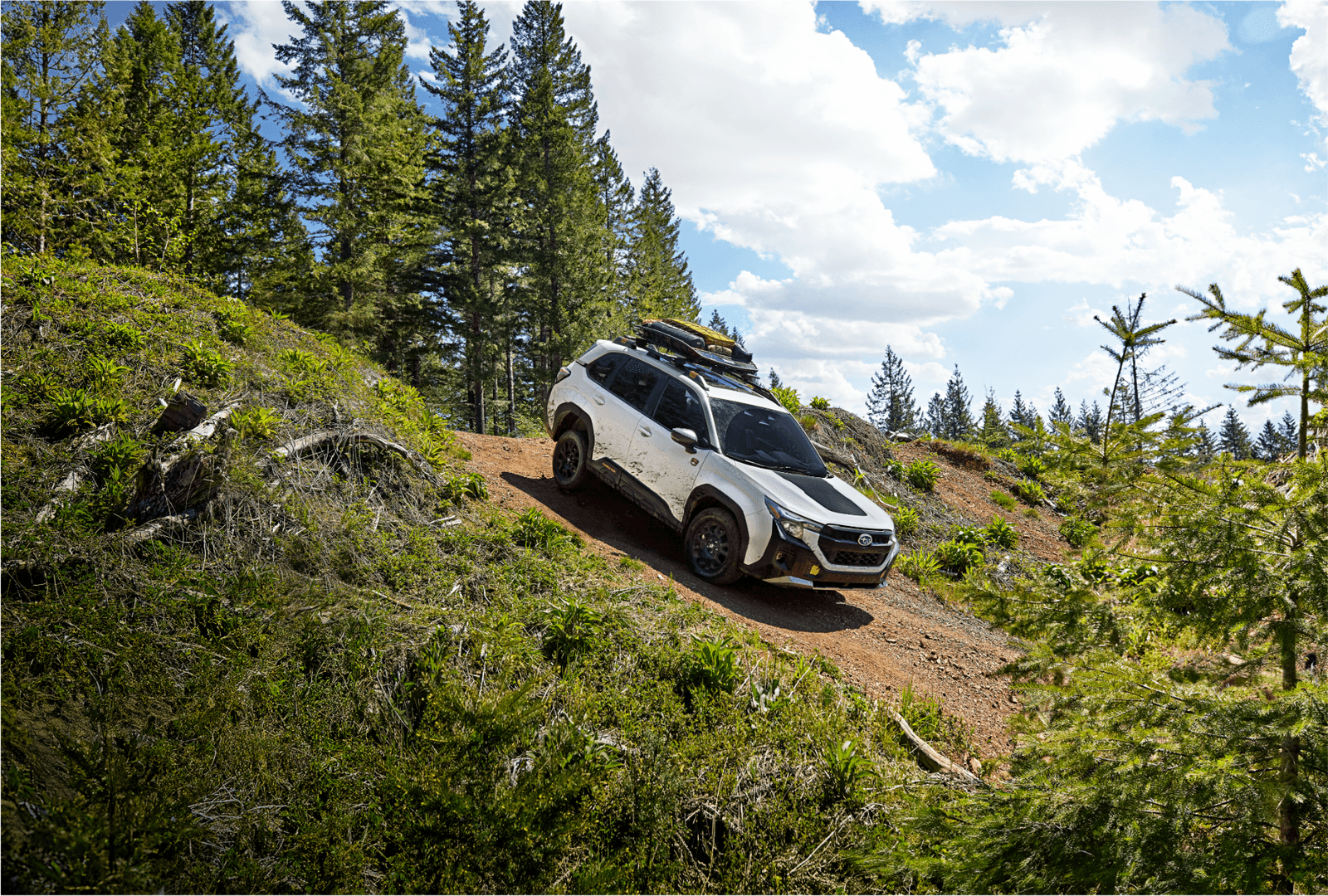 2026 Subaru Forester Wilderness Off-Road SUV in Alaska at Juneau Subaru