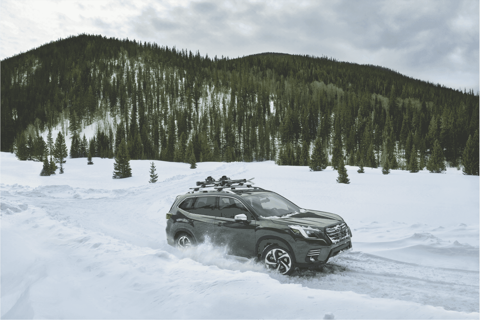 Subaru Forester on a plowed road with slush ruts