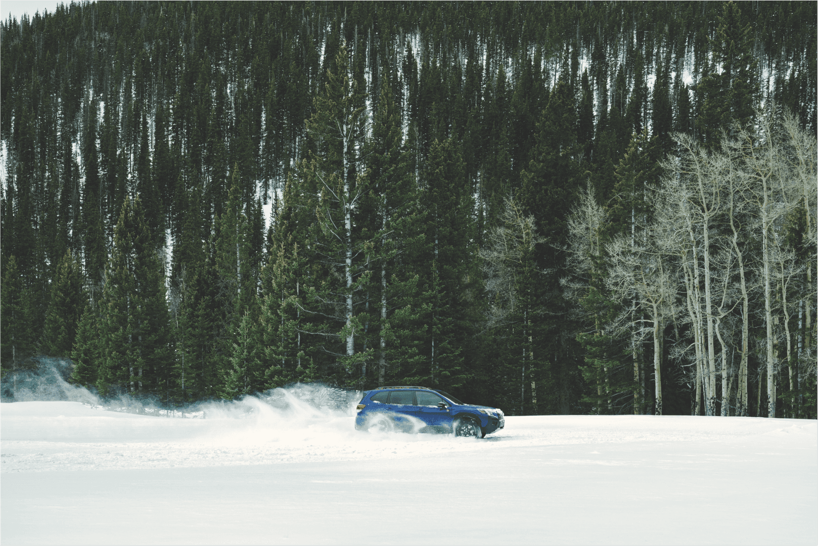 Subaru Forester Wilderness tracking through deep snow