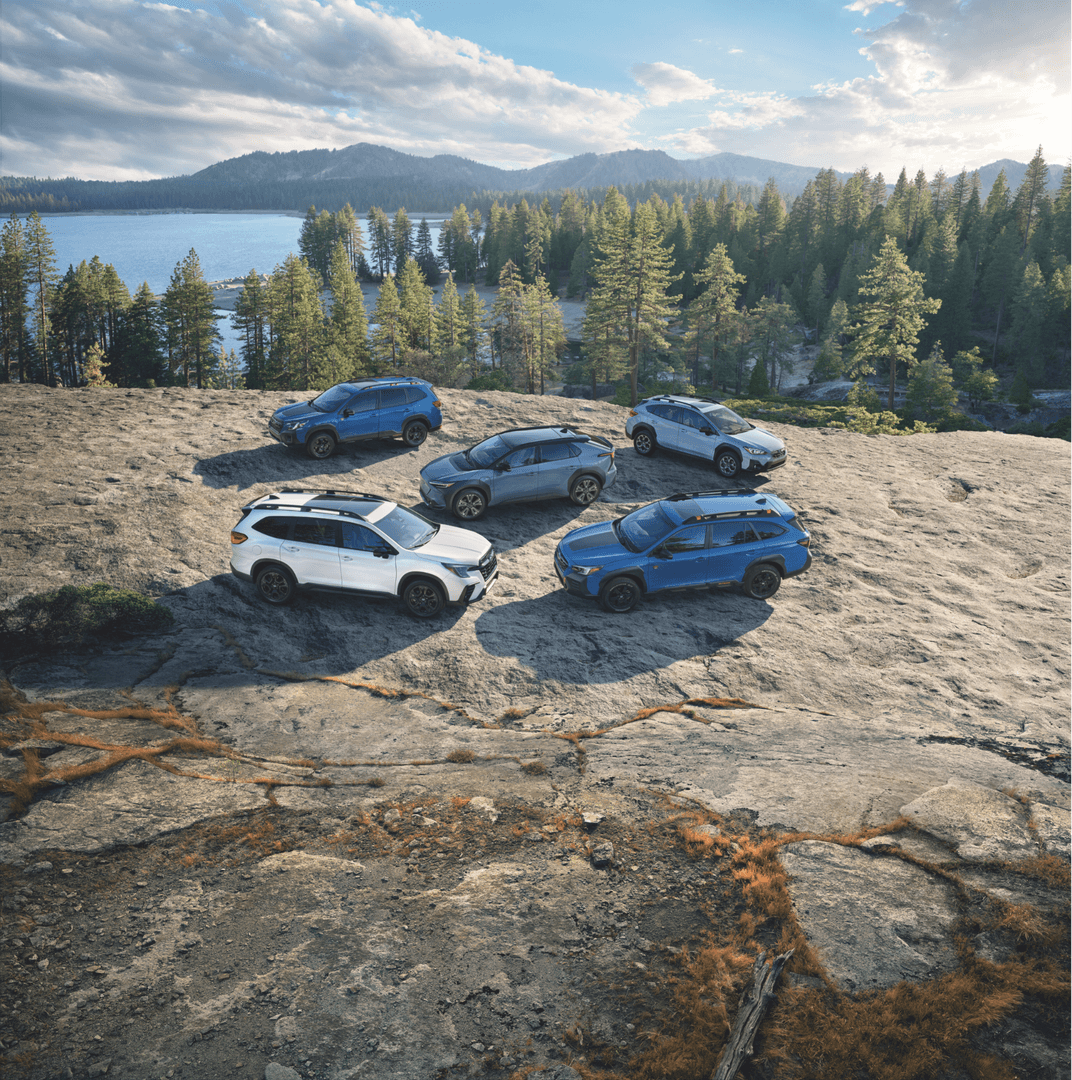 Subaru SUV lineup ready for Alaska terrain near Juneau