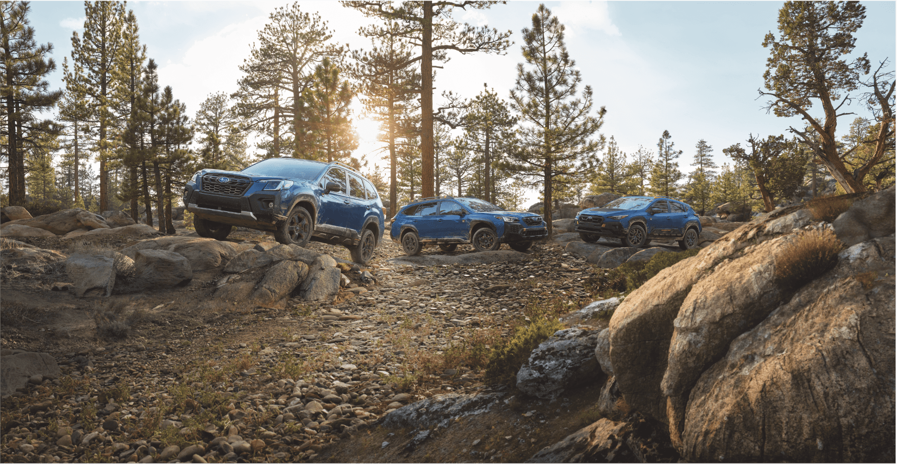 Subaru SUVs ready for Alaska terrain near Juneau