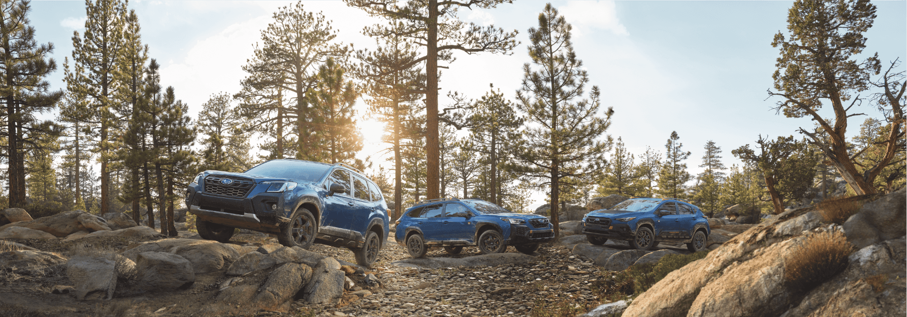 Lineup of Subaru models available in Juneau