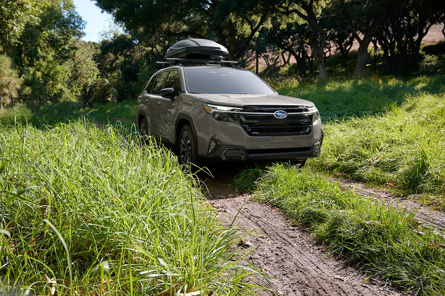 Subaru Forester on forest trail near Juneau Alaska
