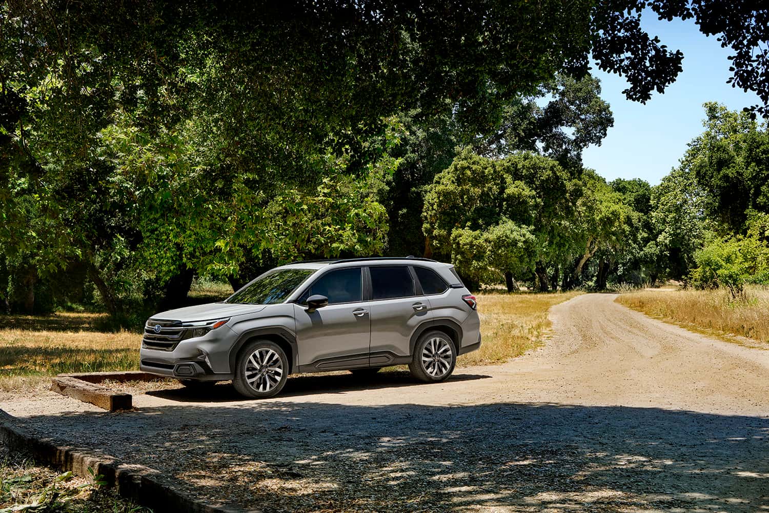 Subaru Forester at a trailhead pullout similar to Glacier Bay National Park access