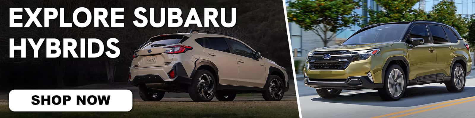 How Much Does a Hybrid Save on Gas?
