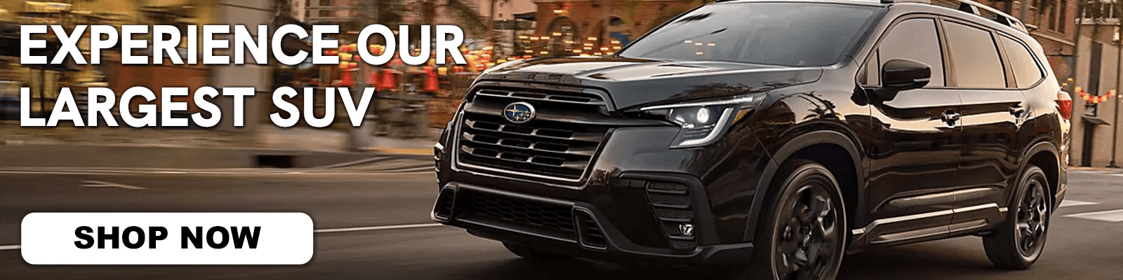 2025 Subaru Ascent Price