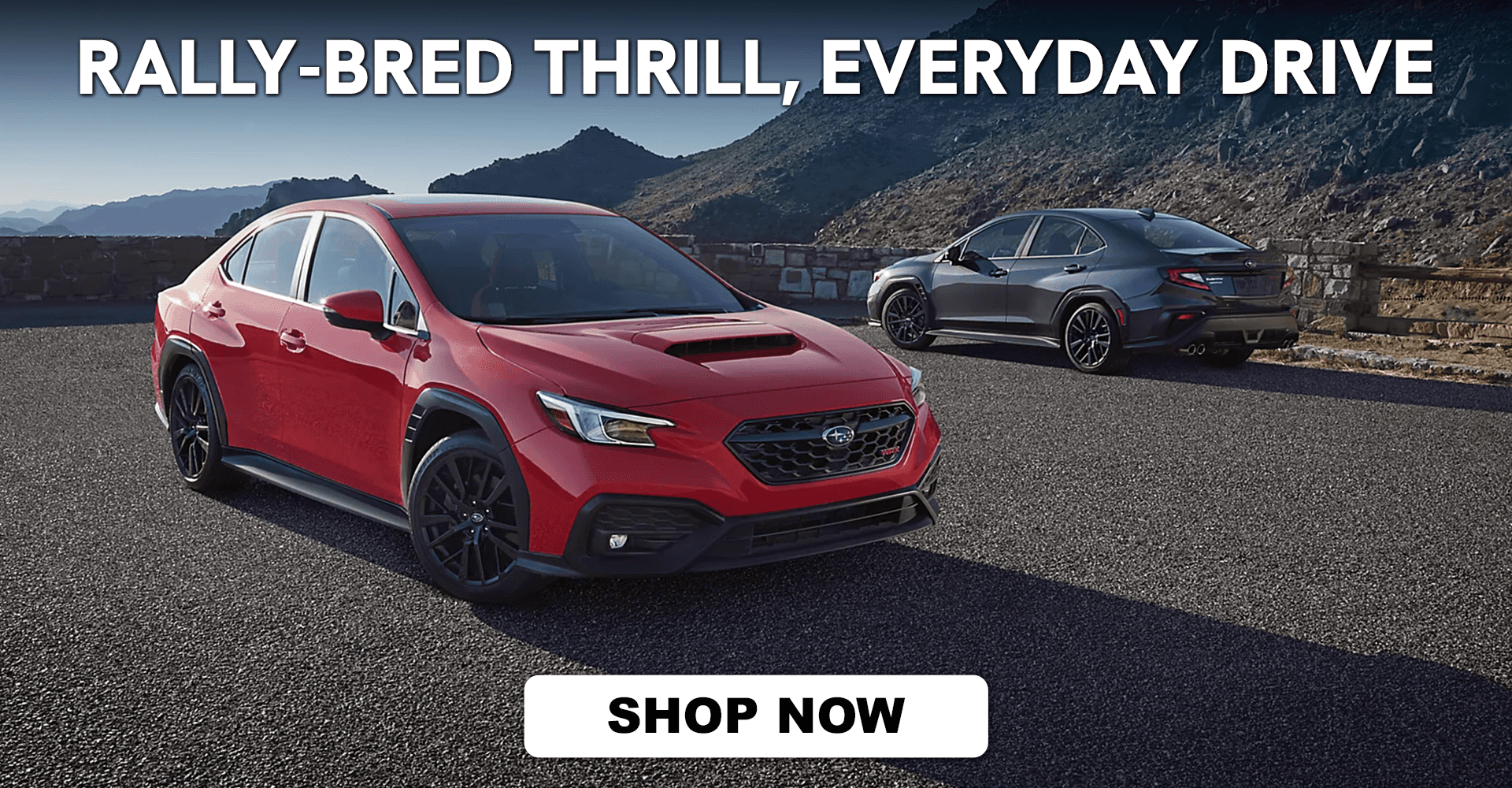 2026 Subaru WRX