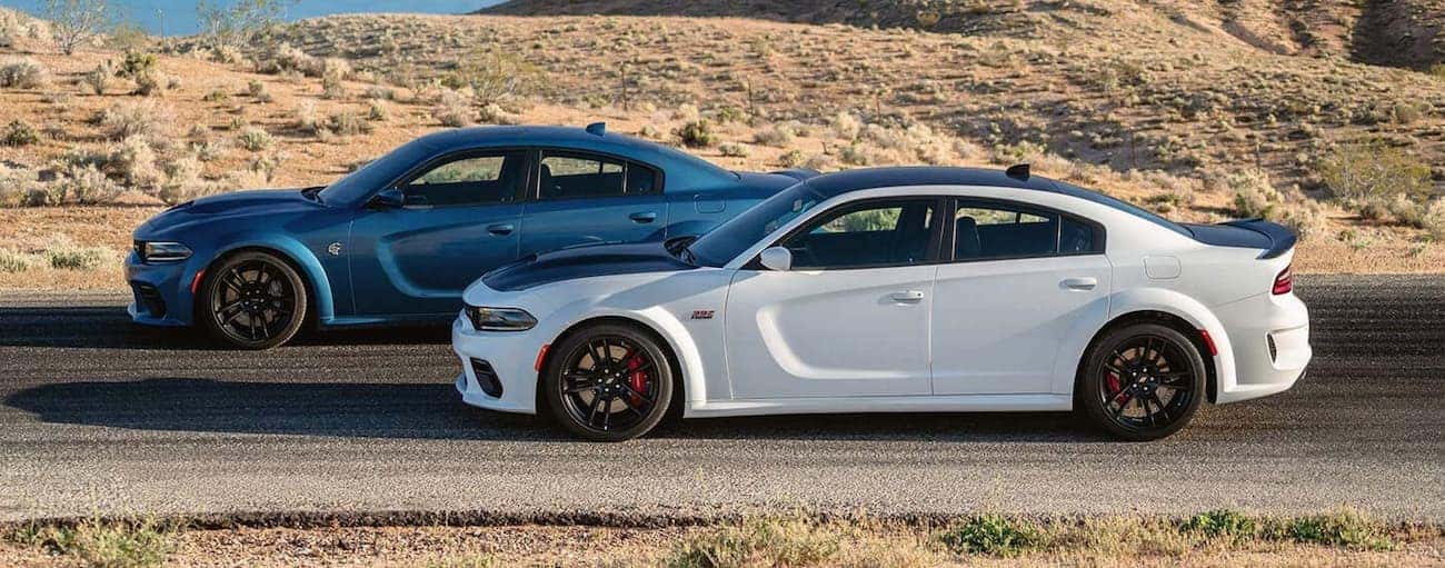 A blue and a white 2020 Dodge Charger from the side.