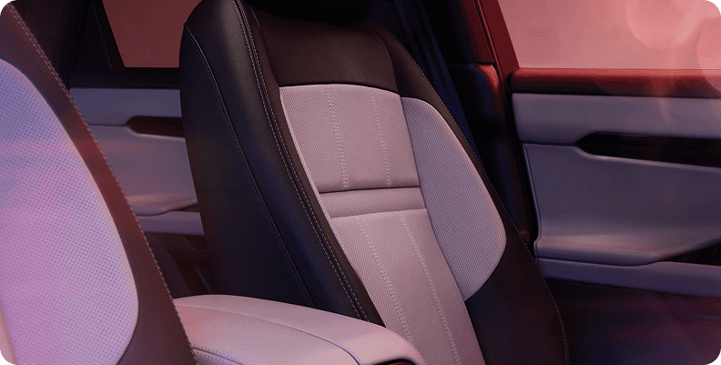 Hoxton Edition leather seats with contrast stitching