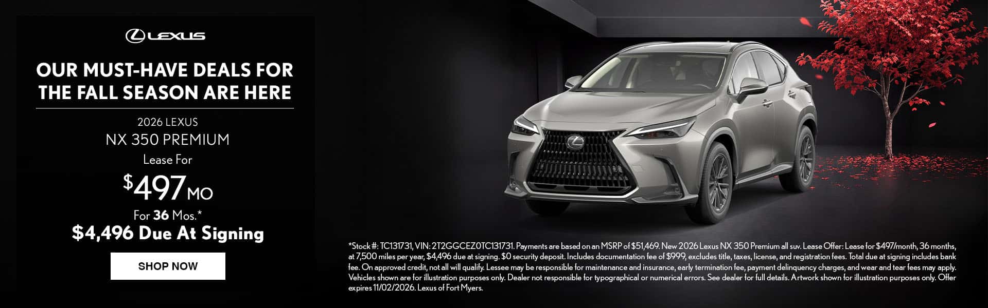 NX 350 Premium