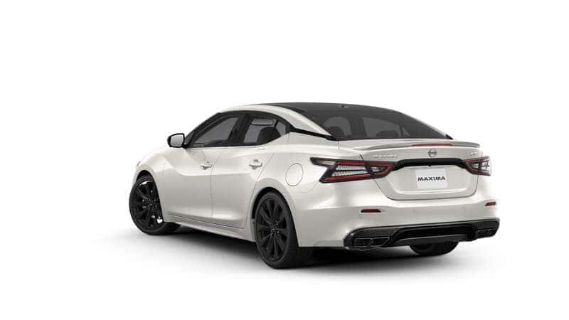 Used Car Dealer near Westchase FL